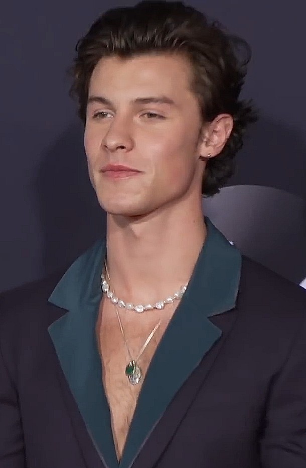 shawn mendes
